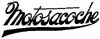 motosacoche
